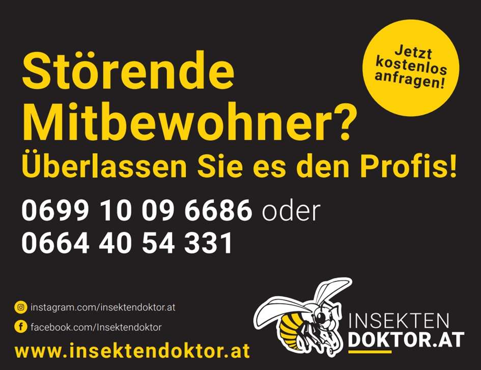 Wespen- und Hornissennester