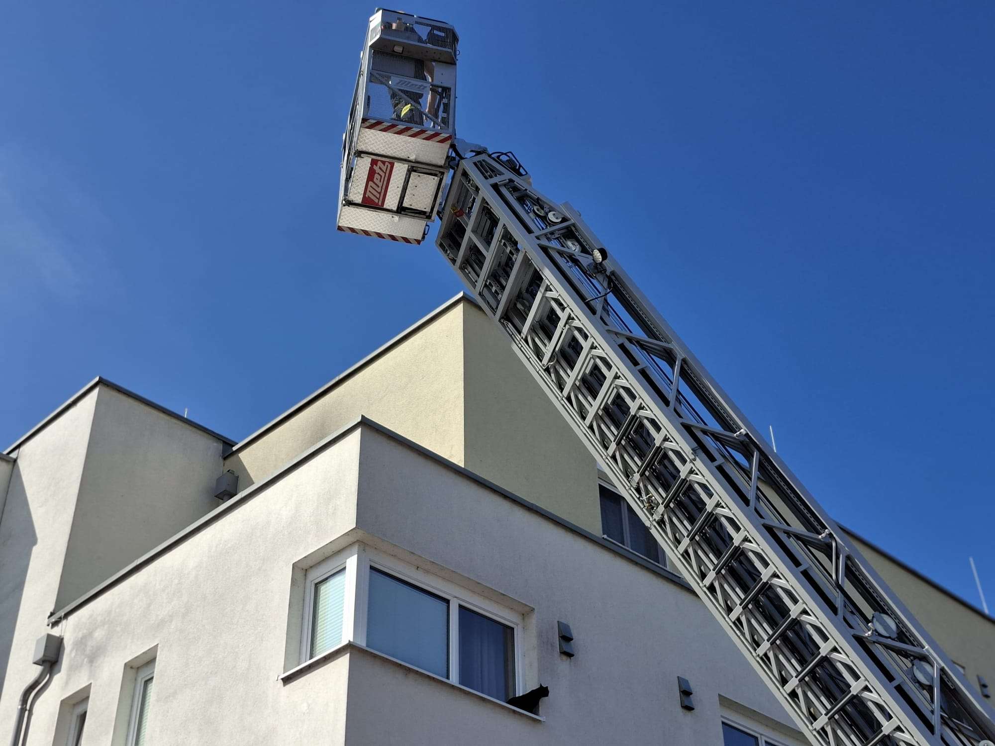 Katze mittels Drehleiter gerettet